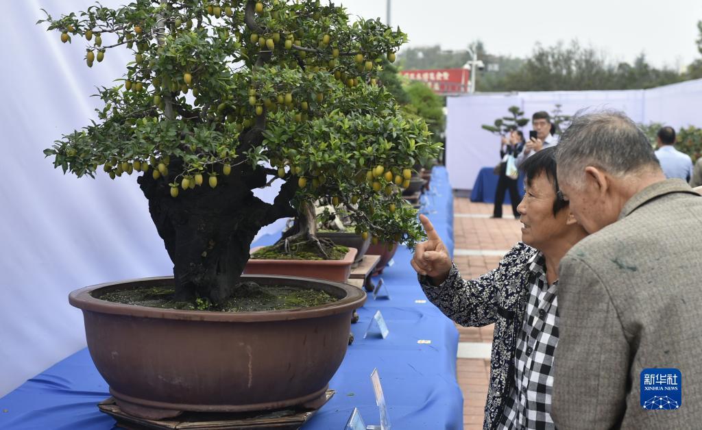 果博app下载安装